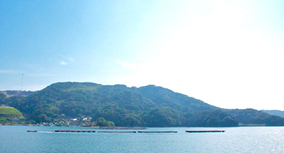 有限会社マルモ水産