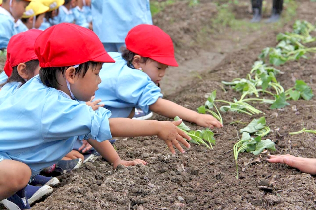 二色幼稚園