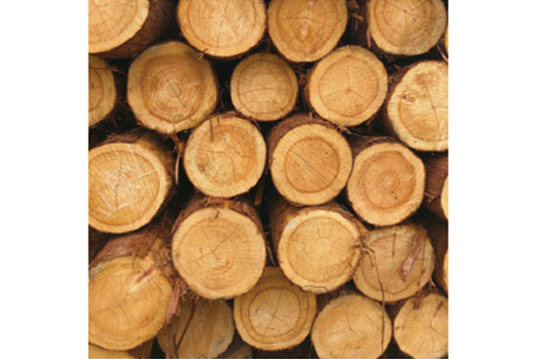 有限会社南方木材