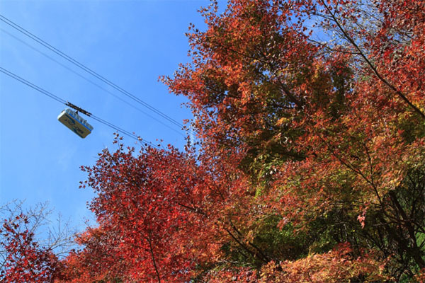 別府ロープウェイ