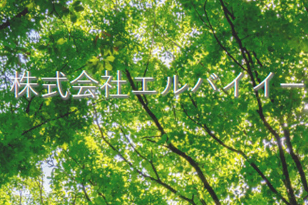株式会社エルバイイー