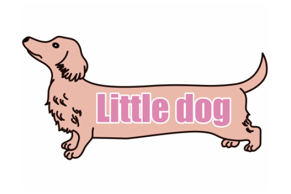 Little dog 鈎取店
