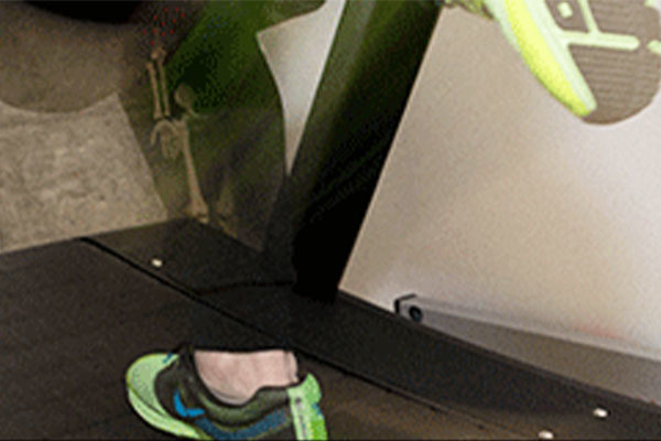 Top Works-Body 芦屋店