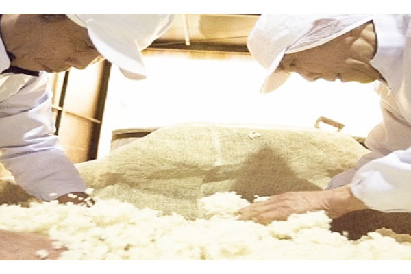 センナリ株式会社