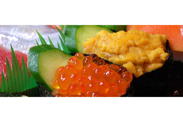 鮨 季節料理 葵