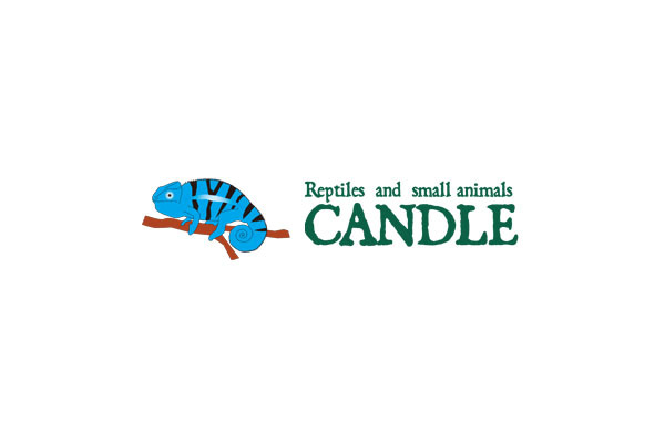 爬虫類・小動物専門店 CANDLE