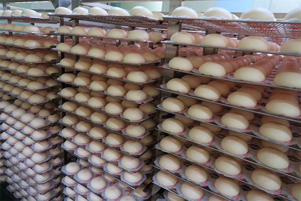 有限会社シンセイフーズ