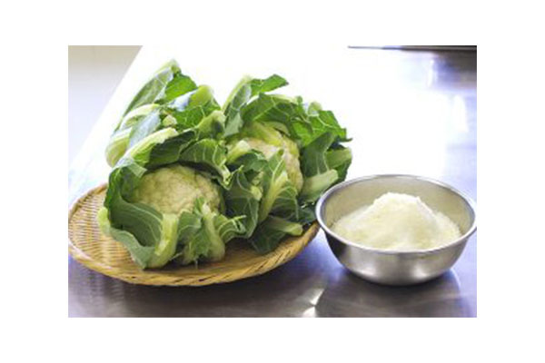 JA北蒲みなみ本店