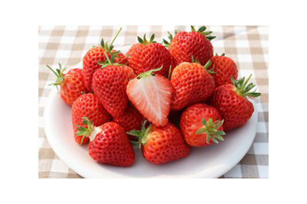 JA北蒲みなみ本店