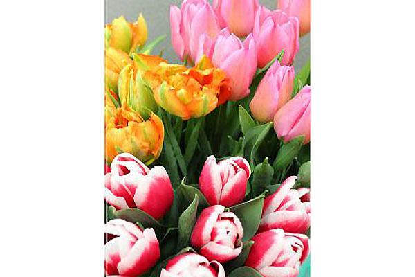 JA北蒲みなみ本店