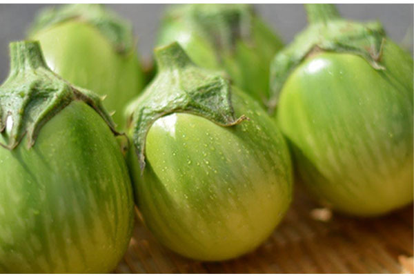 JAささかみ 本所