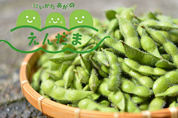 JAささかみ 本所