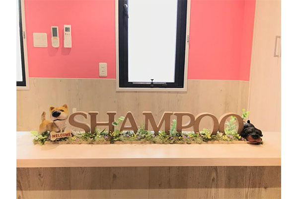 わんちゃんの美容室 Shampoo