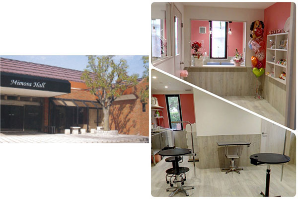 わんちゃんの美容室 Shampoo 滋賀県近江八幡市 犬の美容院 E Navita イーナビタ 駅周辺 街のスポット情報検索サイト