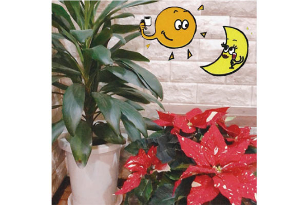 CAFE & Bar TARTAN(カフェ アンド バー タータン)