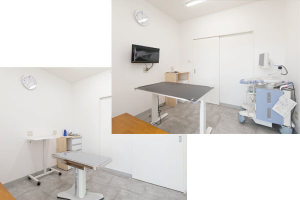 東さばえ動物病院