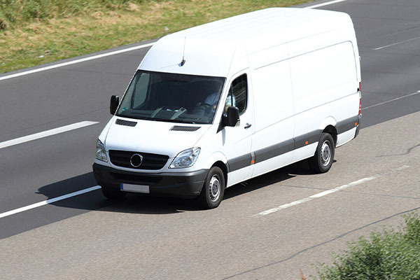 ねことわたしスペイクリニックKOBE