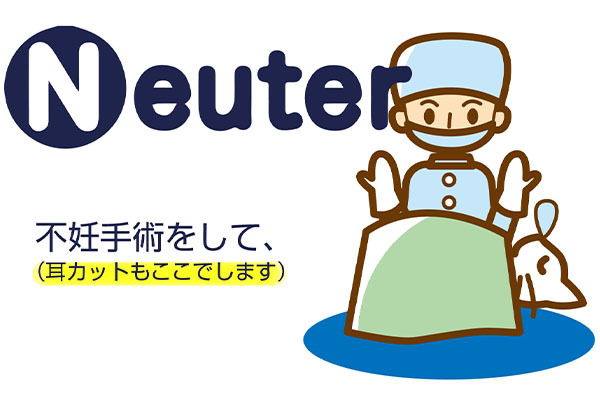 ねことわたしスペイクリニックKOBE