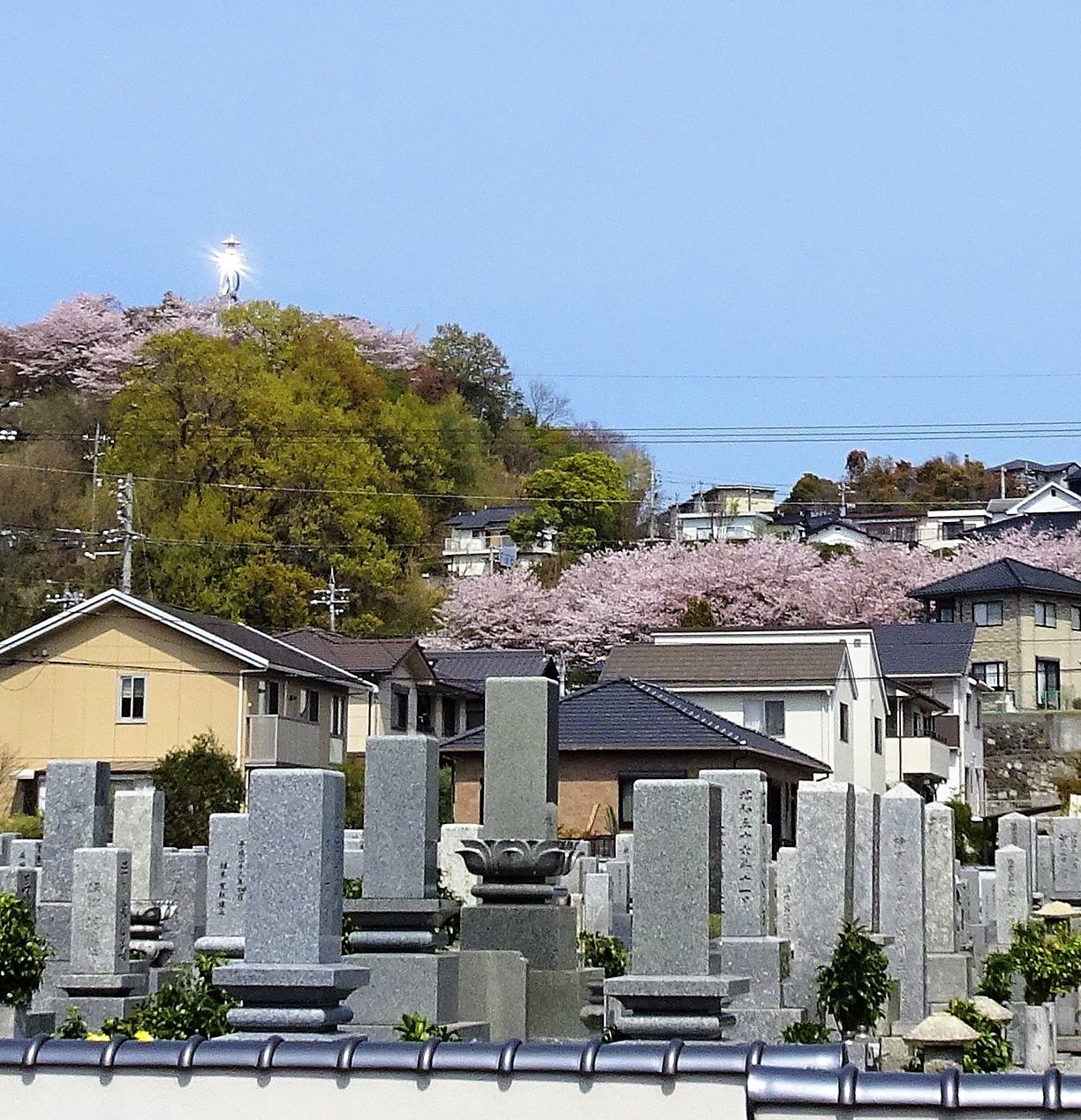 西教寺