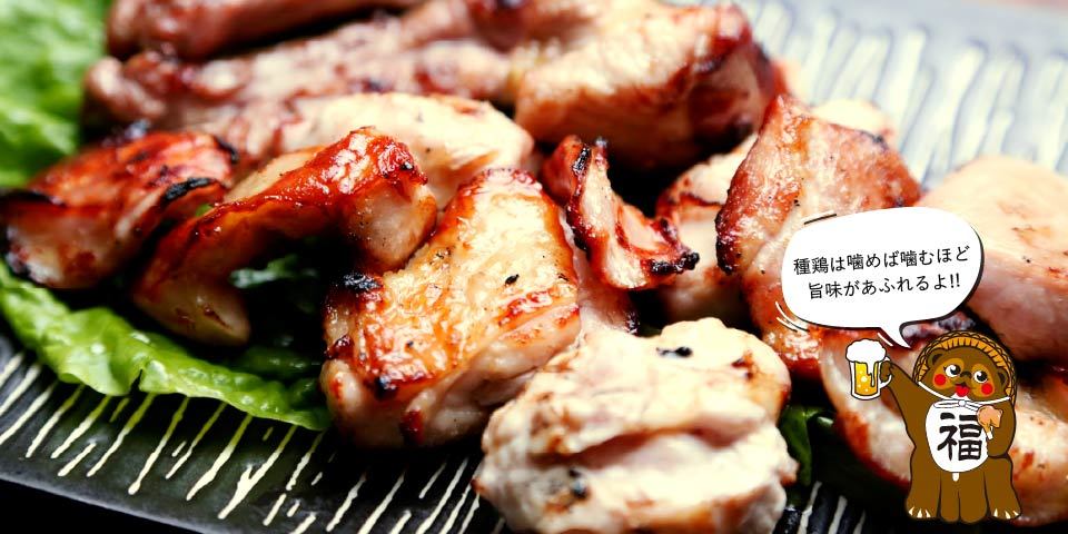 焼く鳥 とり福来 本店