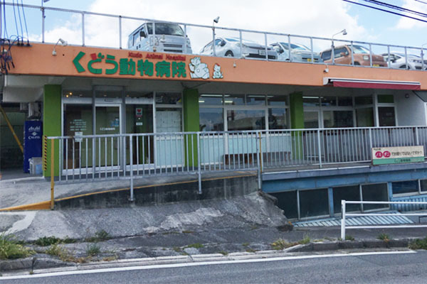 くどう動物病院 沖縄県島尻郡南風原町 動物病院 E Navita イーナビタ 駅周辺 街のスポット情報検索サイト