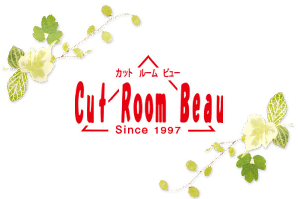 Cut Room Beau(カット ルーム ビュー)