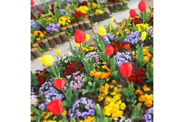 有限会社加藤造園