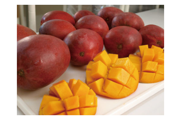 のはらファーム