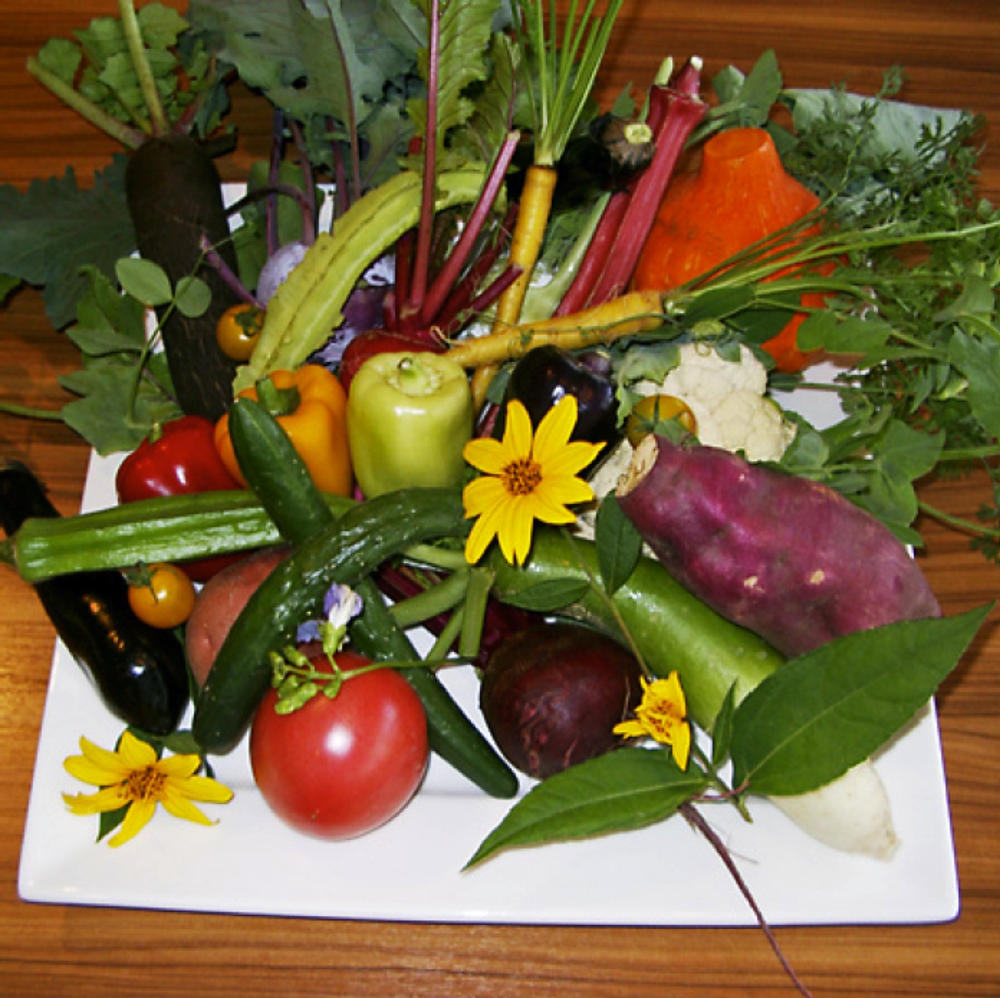 レストランＴＯｉＴＯｉ