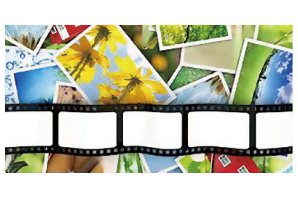 株式会社ナベリン・ティー・ブイ