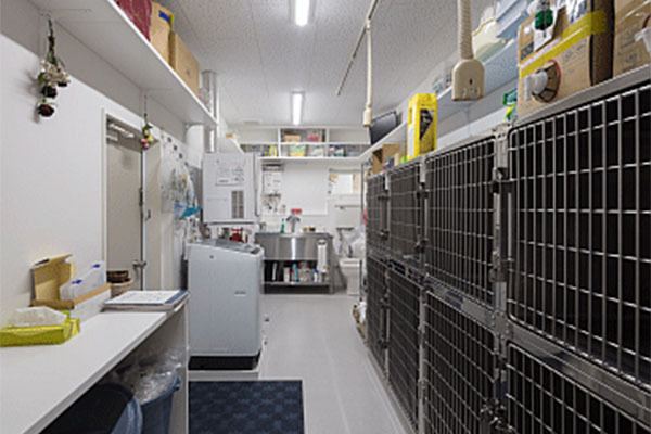 エフ・筑紫通りペットクリニック