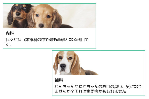 アイリス動物医療センター