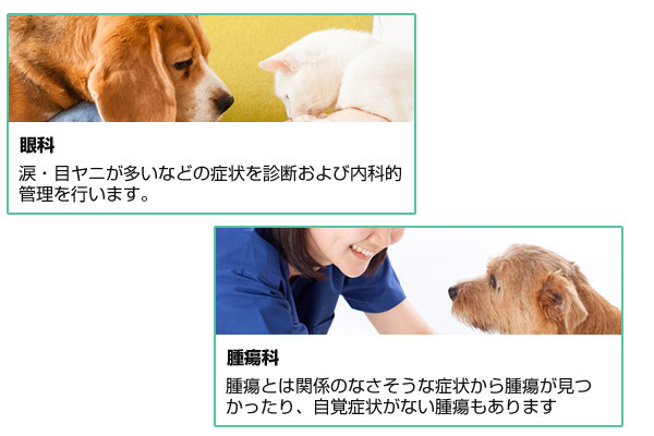 アイリス動物医療センター