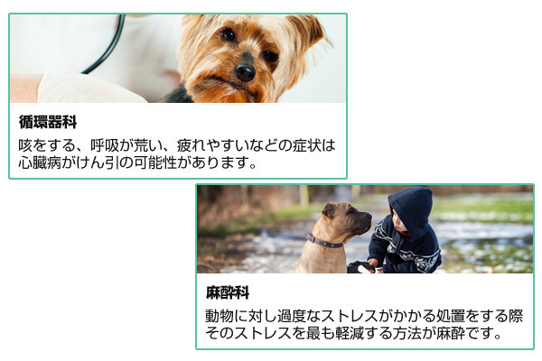 アイリス動物医療センター