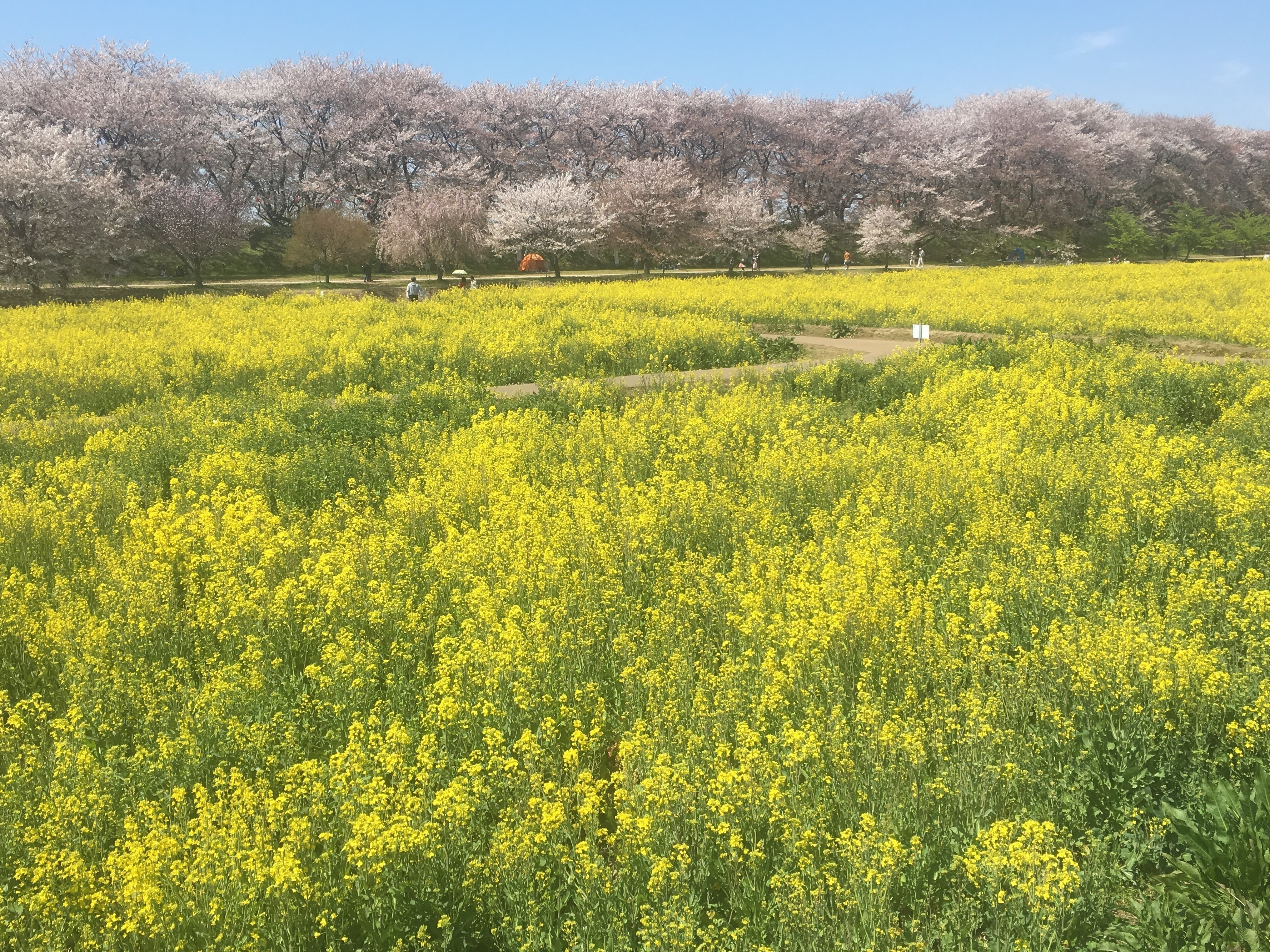 幸手司法書士事務所