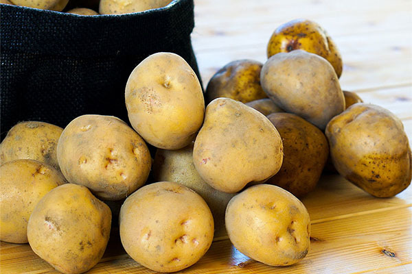 ナチュラルファーム楽園倶楽部