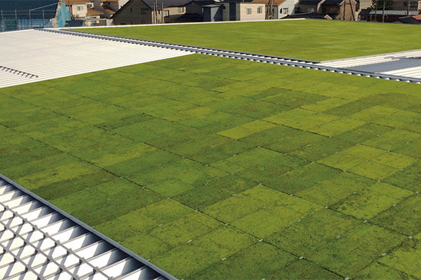 塩谷建設株式会社 本社