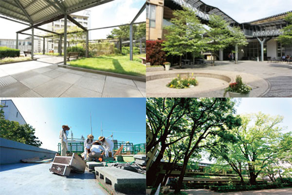 学校法人根沖育英会武蔵学園 武蔵大学