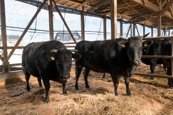 株式会社東和食品 結城工場