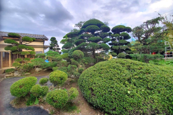 美山園芸 長野県長野市 造園業 E Navita イーナビタ 駅周辺 街のスポット情報検索サイト