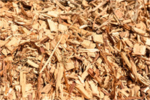 株式会社戸川木材 本社