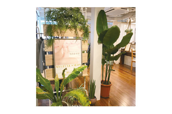 エステティックサロン サロン・ド・クーラ