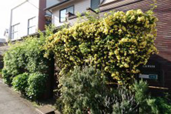 有限会社浦和正光園