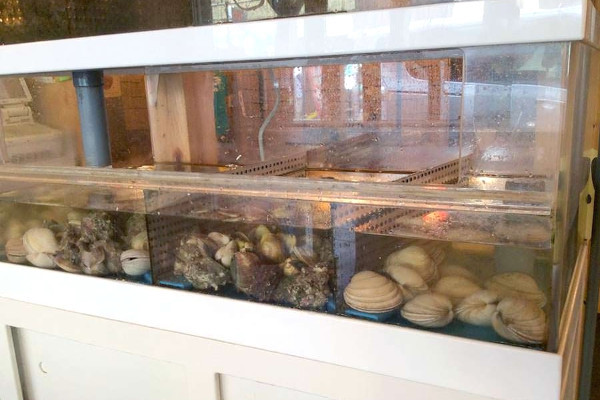 海鮮居酒屋 波平