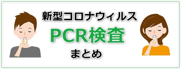 Pcr 1980 円