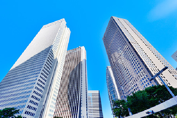 税理士法人向田会計