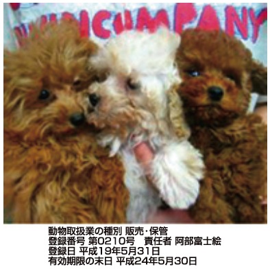 犬猫倶楽部ウィズ