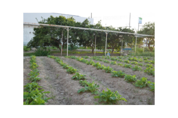 学校法人江端学園 寺方幼稚園