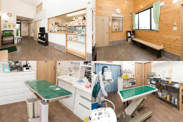 うめ・くりペット診療所