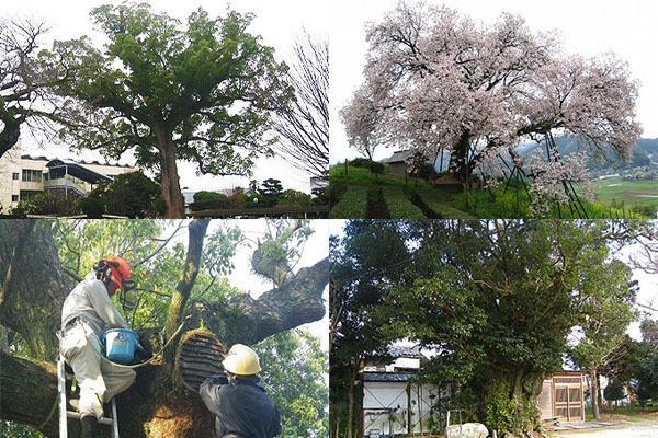 朝日テクノ株式会社 本社